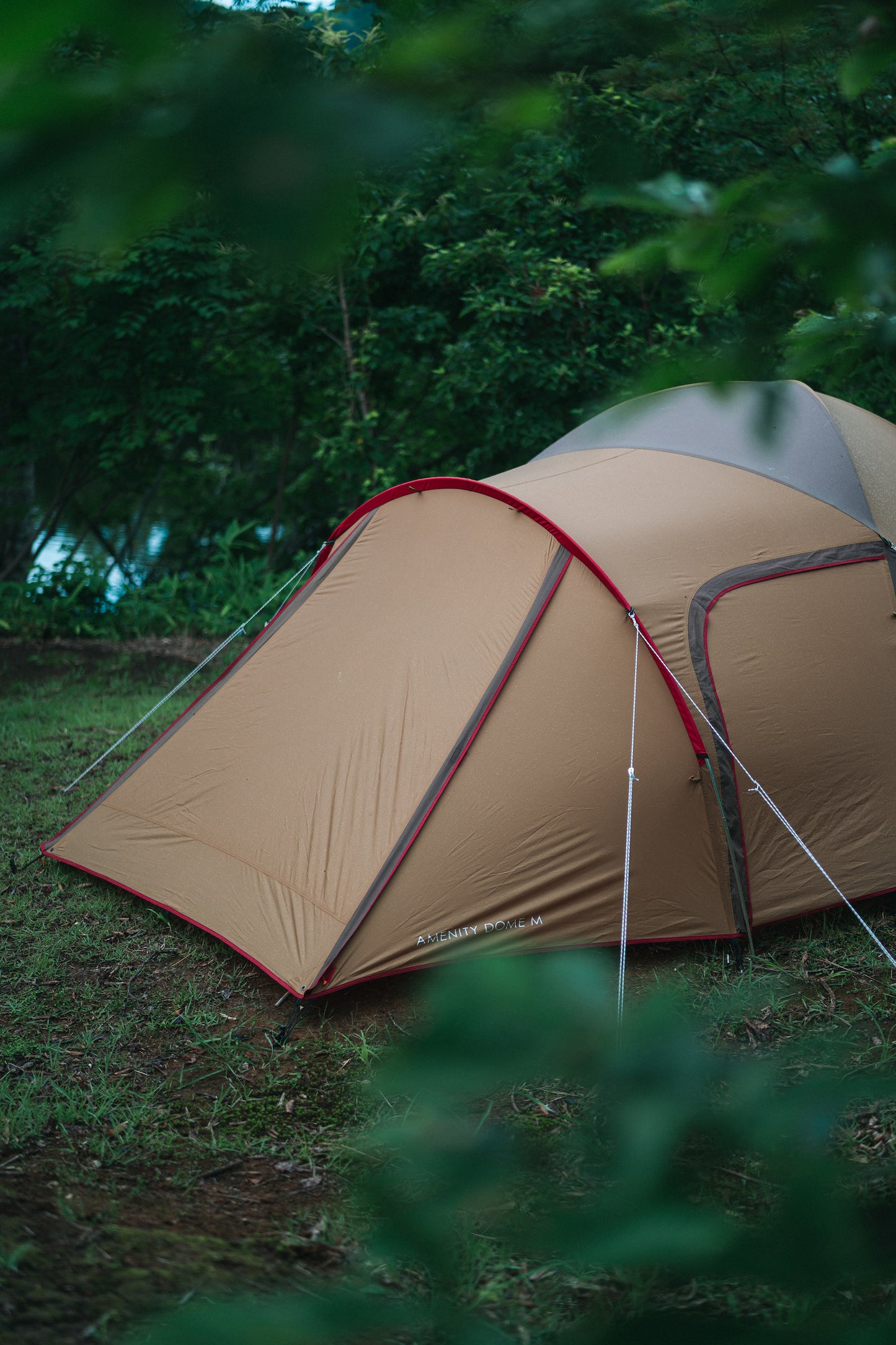 SNOW PEAK AMENITY DOME - M