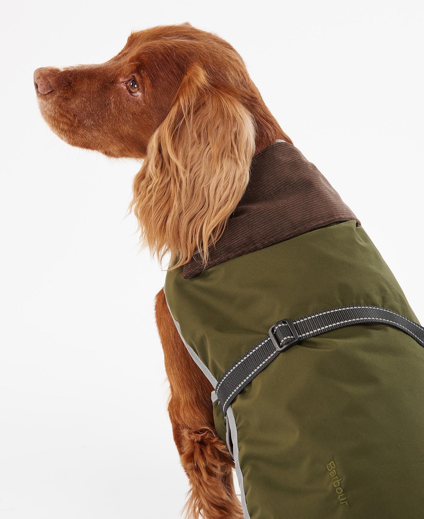 BARBOUR MONMOUTH WATERPROOF DOG COAT - OLIVE