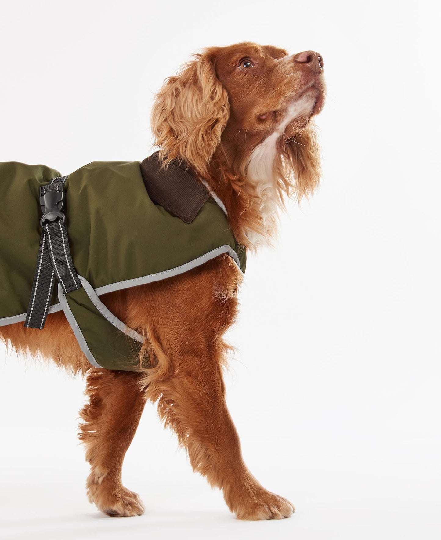 BARBOUR MONMOUTH WATERPROOF DOG COAT - OLIVE