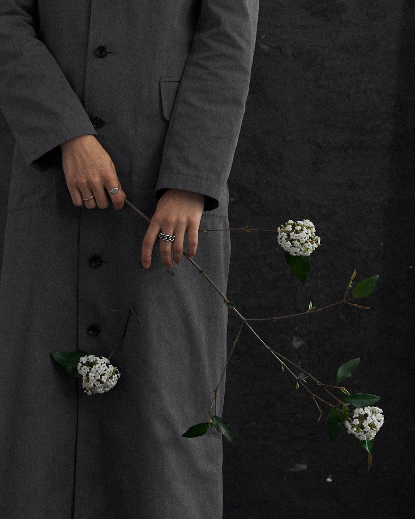 FAUST WORKSHOP CURBED RING - SILVER