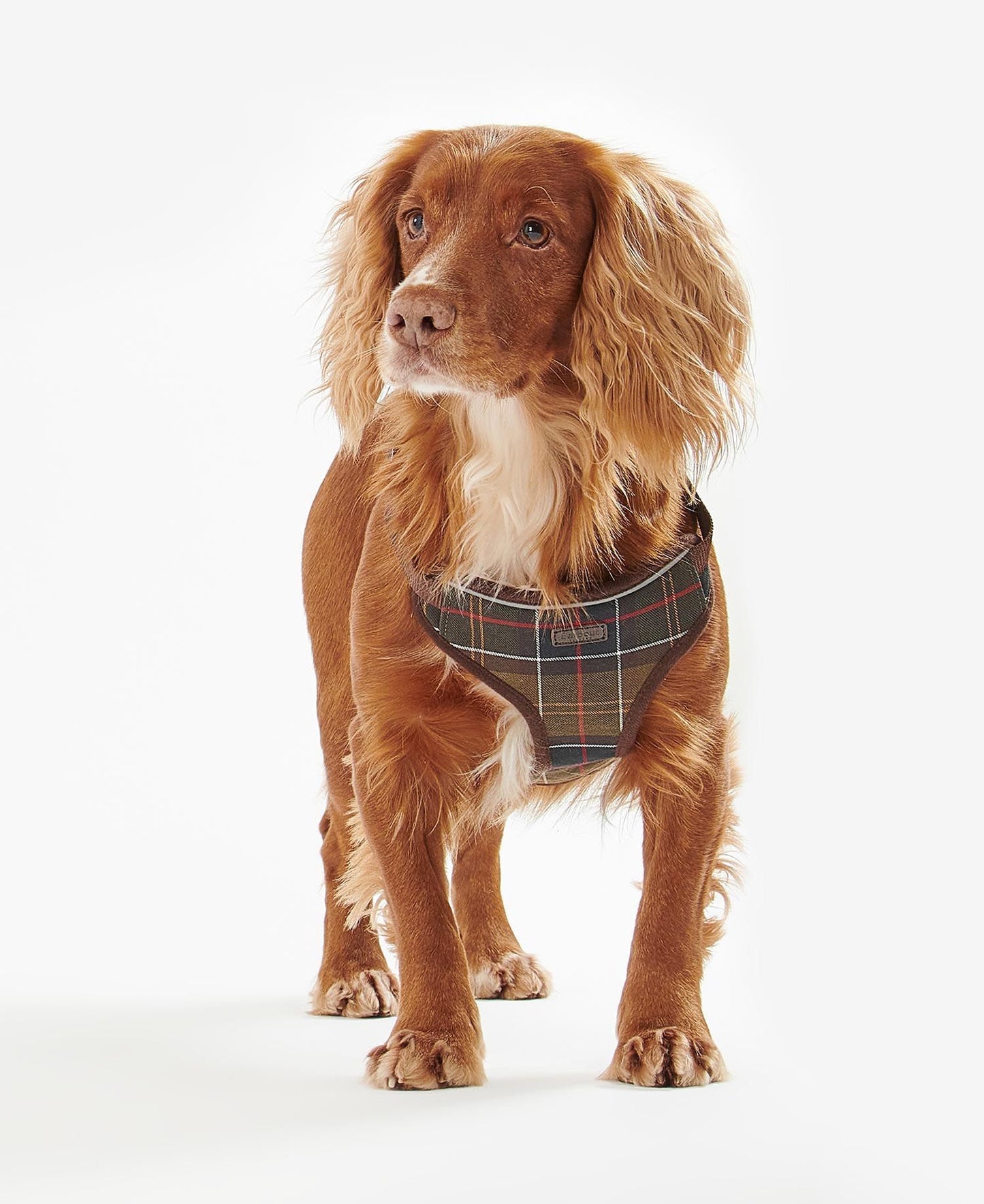 BARBOUR TRAVEL & EXERCISE DOG HARNESS - CLASSIC TARTAN
